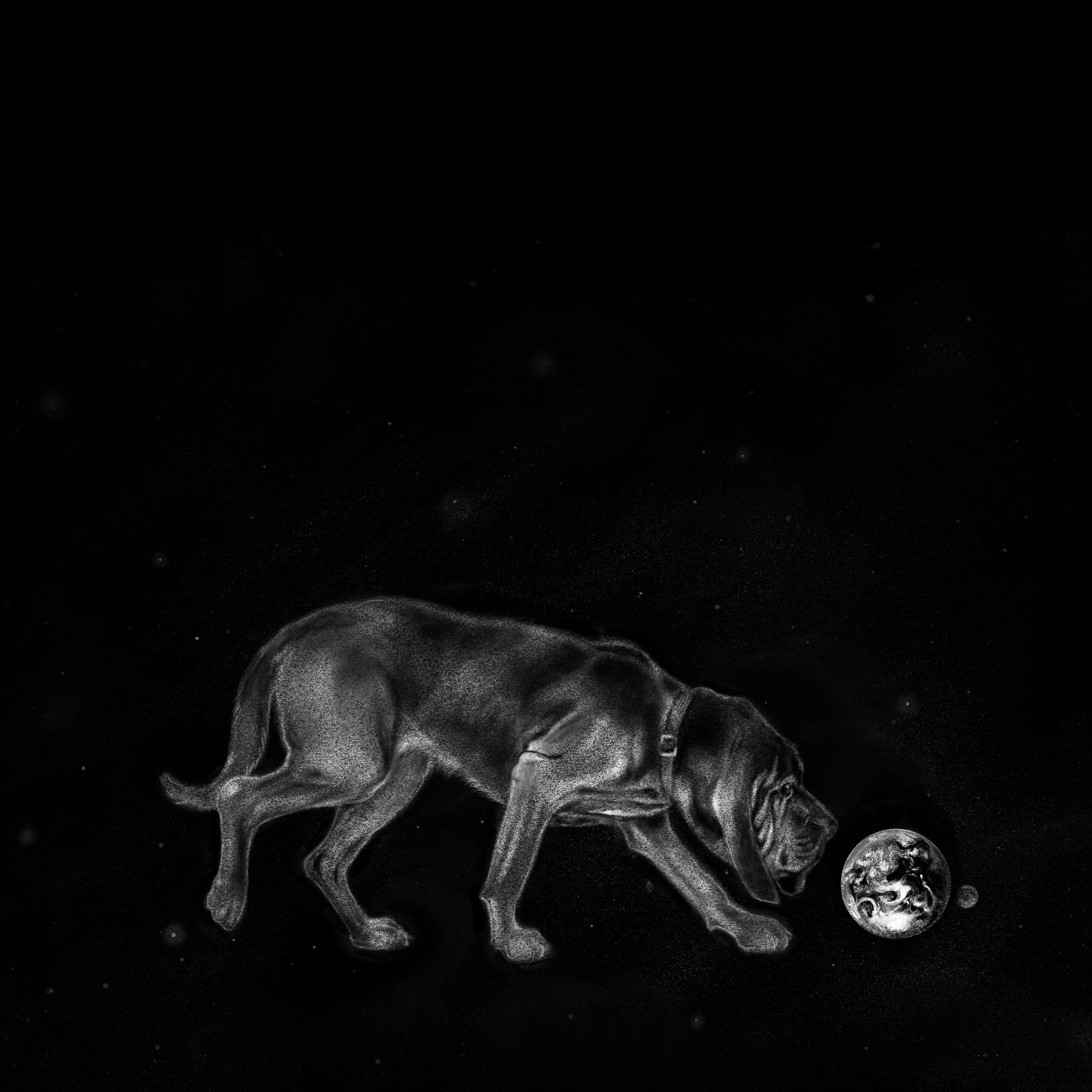 Album cover for Canary and Milktooth